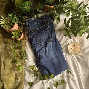 TIME & TRU blue jeans plus size 20w